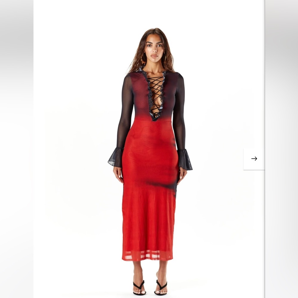Amy Shehab Vintage Mesh Ruffle Dress